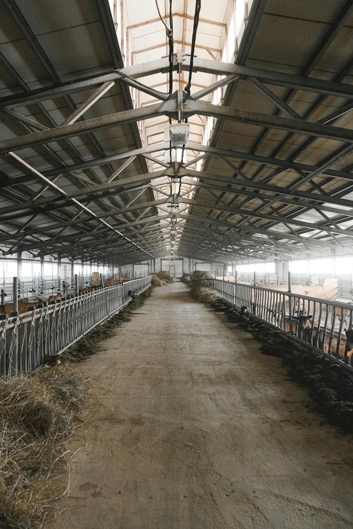 Interior of a post-frame agricultural building showing the metal truss roof system and open floor plan that makes pole barns so versatile.